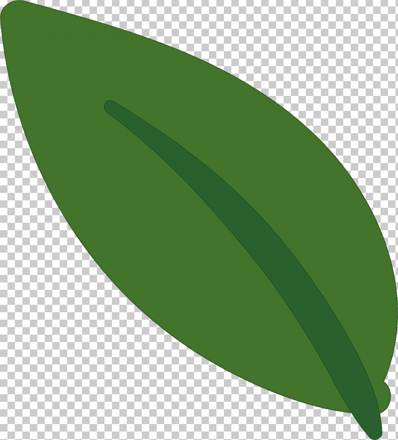 Leaf PNG, Clipart, Biology, Green, Leaf, Meter, Plants Free PNG Download