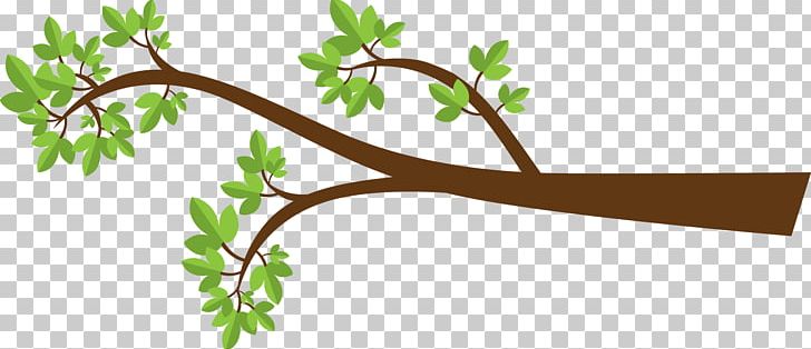 Branch Tree Drawing PNG, Clipart, Branch, Clip Art, Drawing, Flora, Flower Free PNG Download