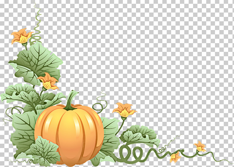 Pumpkin PNG, Clipart, Calabaza, Cucumber Gourd And Melon Family, Cucurbita, Flower, Fruit Free PNG Download