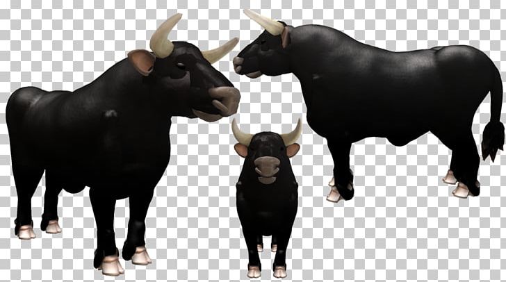 Bull Cattle Ox Terrestrial Animal PNG, Clipart, Animal, Animals, Bull, Cattle, Cattle Like Mammal Free PNG Download