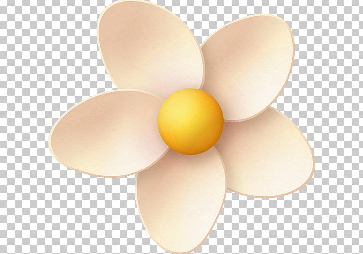 Egg Lighting PNG, Clipart, Apple Flower, Egg, Food Drinks, Lighting, Petal Free PNG Download