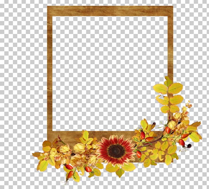 Floral Design Cut Flowers Frames Petal PNG, Clipart, Advertising, Cut Flowers, Decor, Flora, Floral Design Free PNG Download