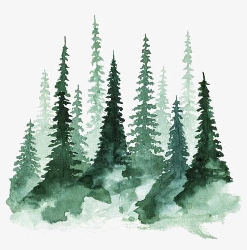 Forest PNG, Clipart, Creative, Deep, Deep Forest, Forest, Forest Clipart Free PNG Download