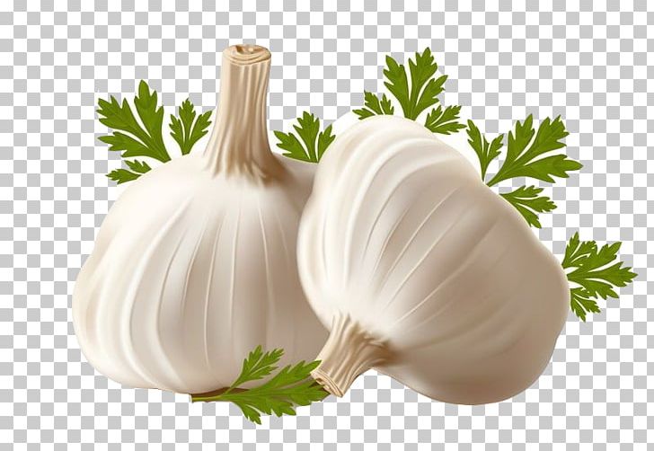 Garlic Bread Allicin PNG, Clipart, Allicin, Alliin, Cartoon Garlic, Chili Garlic, Clip Art Free PNG Download