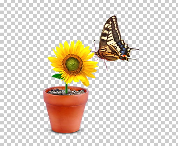 Monarch Butterfly Flowerpot PNG, Clipart, Amusement Park, Animal, Arthropod, Brush Footed Butterfly, Bud Free PNG Download