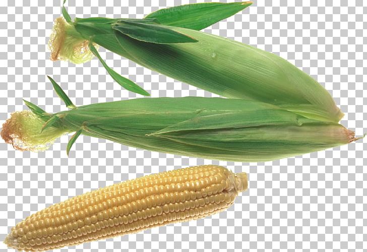 Corn On The Cob Maize Sweet Corn PNG, Clipart, Clip Art, Commodity, Corn, Corn On The Cob, Download Free PNG Download