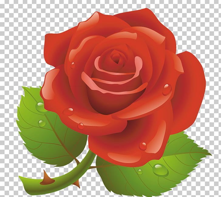 Valentine's Day Red Rose PNG, Clipart, China Rose, Cut Flowers, Drawing, Floribunda, Flower Free PNG Download
