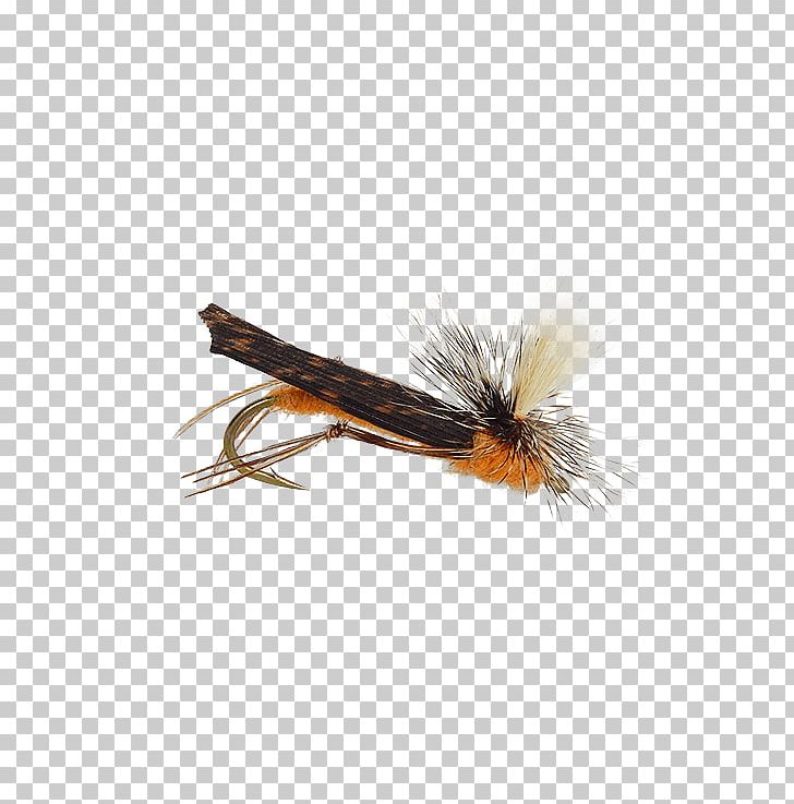Artificial Fly Insect Holly Flies PNG, Clipart, Artificial Fly, Bee, Fly, Fly Tying, George Daniel Free PNG Download