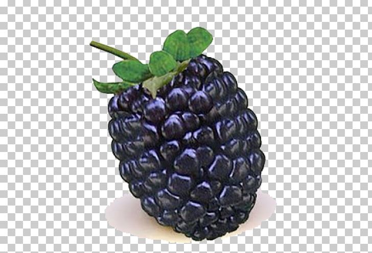 BlackBerry Storm 2 Fruit PNG, Clipart, Berry, Blackberry, Blackberry Storm, Blackberry Storm 2, Boysenberry Free PNG Download