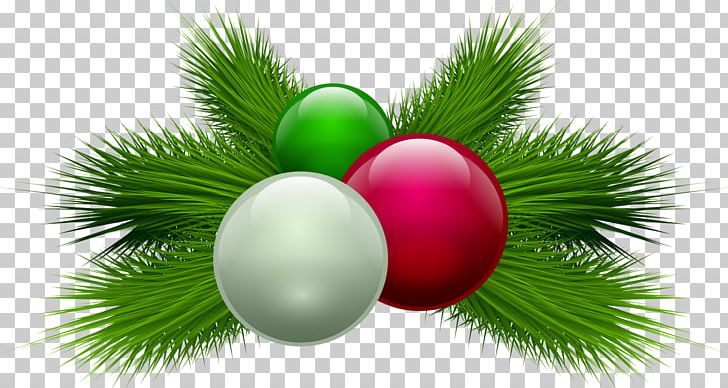 Christmas Candle PNG, Clipart, Advent Candle, Advent Wreath, Background Green, Ball, Botany Free PNG Download