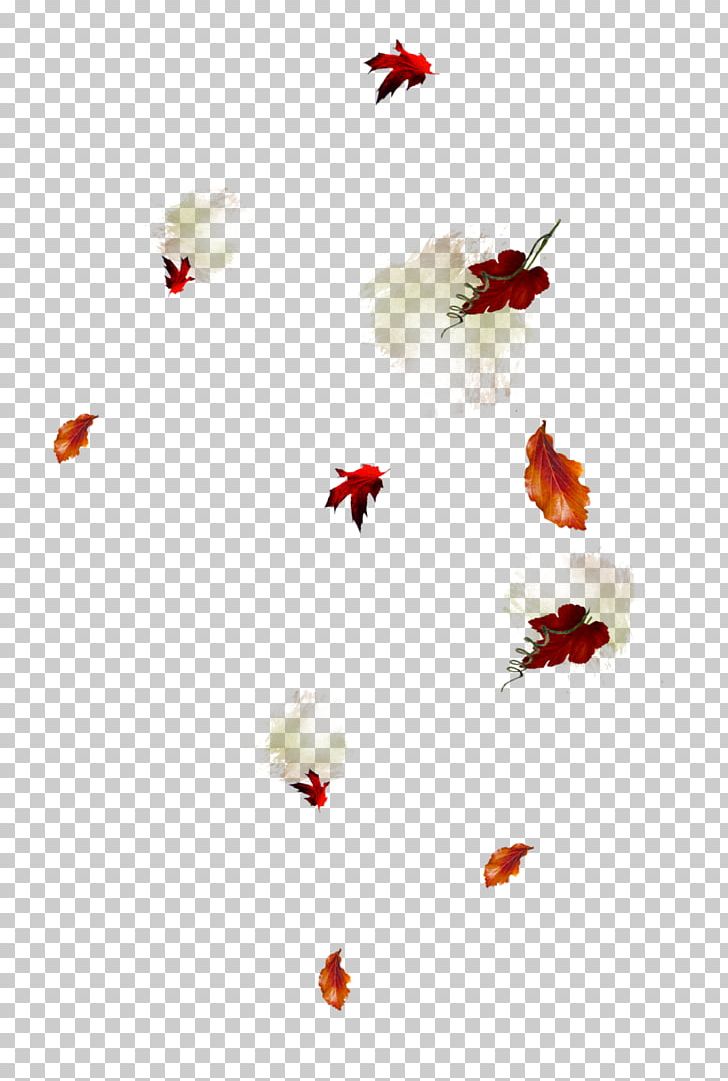 Leaf Autumn Abscission PNG, Clipart, Abscission, Autumn, Daytime, Flower, Flowering Plant Free PNG Download