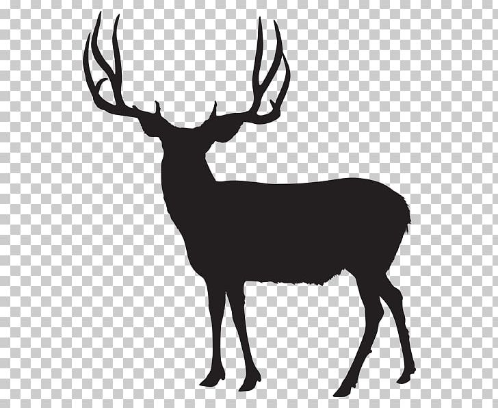 White-tailed Deer Utah Wild Boar Moose PNG, Clipart, Animals, Antler, Biggame Hunting, Black And White, Boar Hunting Free PNG Download