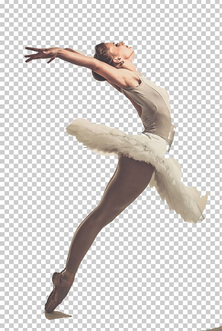 Ballet Dancer Ballet Dancer Performance PNG, Clipart, Action, Arm, Art, Balerin, Ballet Free PNG Download