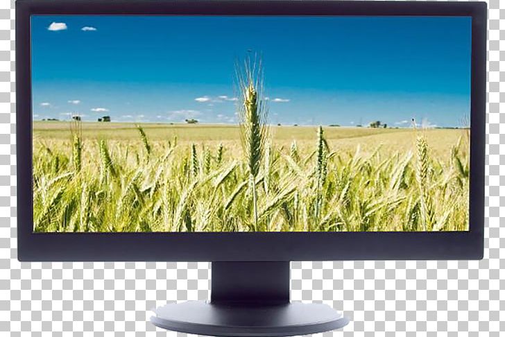 Computer Monitor LCD Television Liquid-crystal Display PNG, Clipart, Color, Color Television, Color Tv Screen, Computer Screen, Display Device Free PNG Download