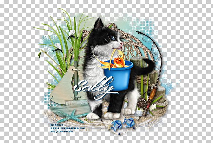 Kitten Whiskers PNG, Clipart, Cat, Cat Like Mammal, Gone Fishing, Kitten, Small To Medium Sized Cats Free PNG Download