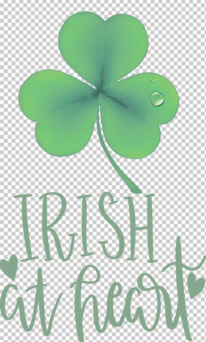 Shamrock Irish Saint Patrick PNG, Clipart, Biology, Green, Irish, Leaf, Meter Free PNG Download