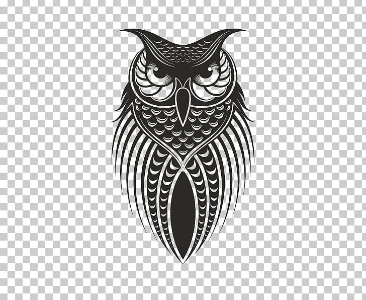 Owl Drawing Bird PNG, Clipart, Animals, Art, Beak, Bird, Bird Of Prey Free PNG Download