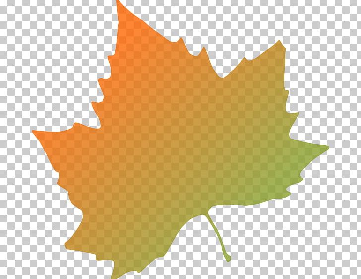Platanus Orientalis Autumn Leaf Color PNG, Clipart, Autumn, Autumn Leaf Color, Cartoon, Clip Art, Drawing Free PNG Download