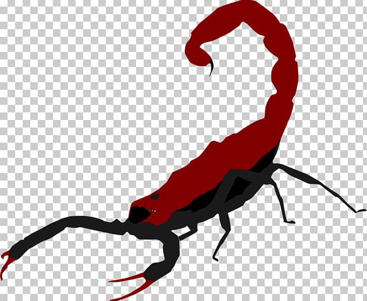 The Scorpion PNG, Clipart, Arthropod, Artwork, Emperor Scorpion, Insect, Invertebrate Free PNG Download