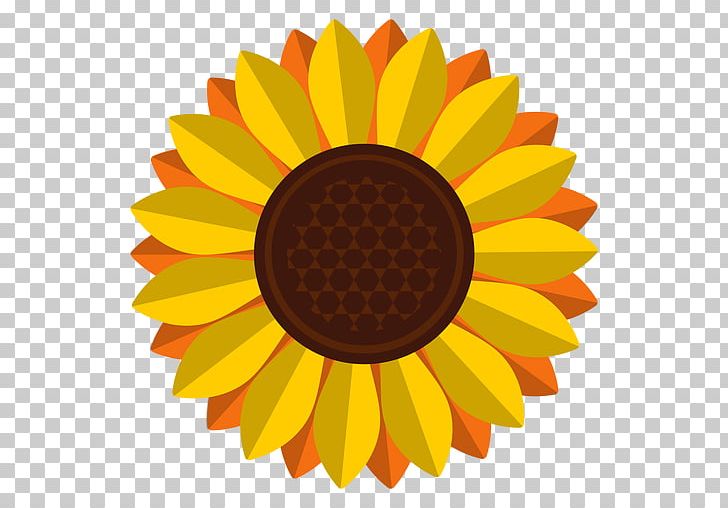 Common Sunflower PNG, Clipart, Circle, Common Sunflower, Computer Icons, Daisy Family, Encapsulated Postscript Free PNG Download