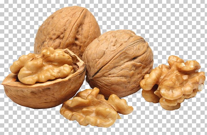 English Walnut PNG, Clipart, Computer Icons, Desktop Wallpaper, Dried Fruit, Food, Fruit Free PNG Download