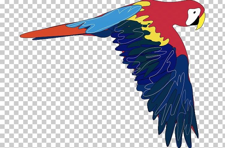 Parrot Bird Macaw PNG, Clipart, Beak, Bird, Blog, Blueandyellow Macaw, Cartoon Parrot Pictures Free PNG Download