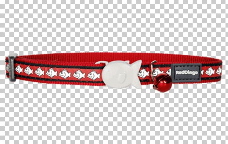 Cat Dingo Collar Dog Leash PNG, Clipart, Cat, Clothing Accessories, Collar, Dingo, Dog Free PNG Download