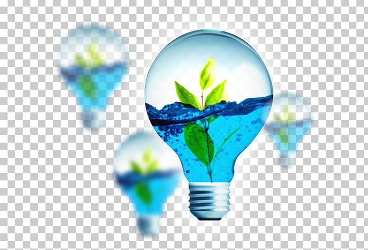 Incandescent Light Bulb Natural Environment Ecology Electrical Energy PNG, Clipart, Drinking Water, Ecology, Electrical Energy, Electricity, Energy Free PNG Download