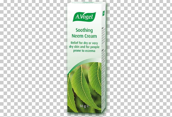 Neem Tree Skin Care Cream Tincture Neem Oil PNG, Clipart, Alfred Vogel, Coneflower, Cream, Extract, Herbal Free PNG Download