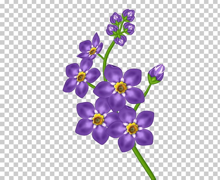 Purple Flower Violet PNG, Clipart, Color, Cut Flowers, Flora, Flower, Flowering Plant Free PNG Download