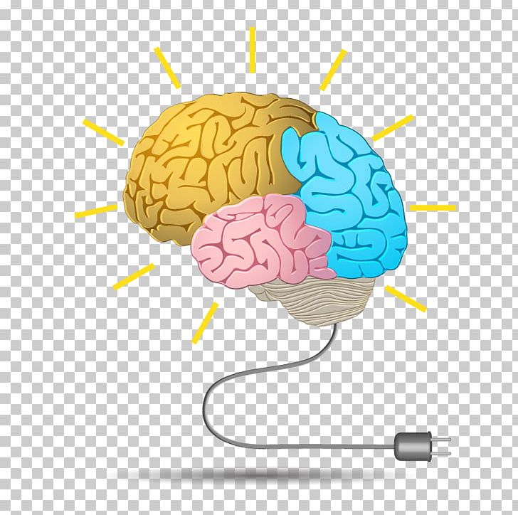 Short-term Memory Brain Cognitive Training Long-term Memory PNG, Clipart, Brain, Brain Vector, Cognition, Cognitive Training, Human Brain Free PNG Download