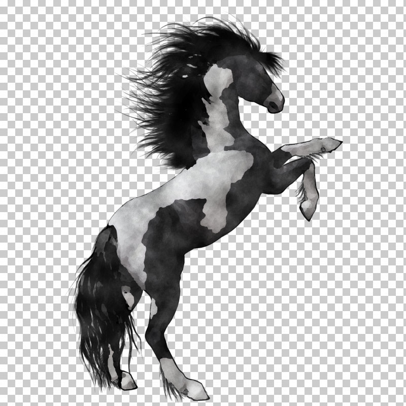 Horse Animal Figure Stallion Mane Mare PNG, Clipart, Animal Figure, Blackandwhite, Horse, Livestock, Mane Free PNG Download
