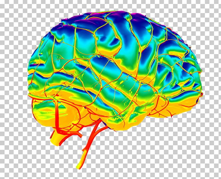 Brain Organism PNG, Clipart, Brain, Inside A Mind, Organ, Organism, People Free PNG Download