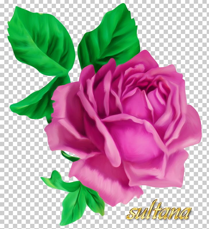 Victorian Era Rose Drawing PNG, Clipart, Artificial Flower, China Rose, Decoupage, Flower, Flowers Free PNG Download