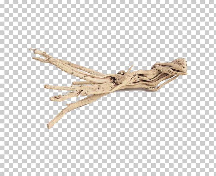 Wood Branch Plant Cost Plus World Market /m/083vt PNG, Clipart, Bone, Branch, Cost Plus World Market, Driftwood, Garden Free PNG Download