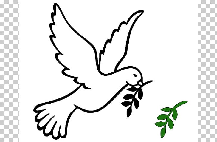 Columbidae Olive Branch Peace Symbols PNG, Clipart, Arm, Bird, Black, Branch, Doves As Symbols Free PNG Download