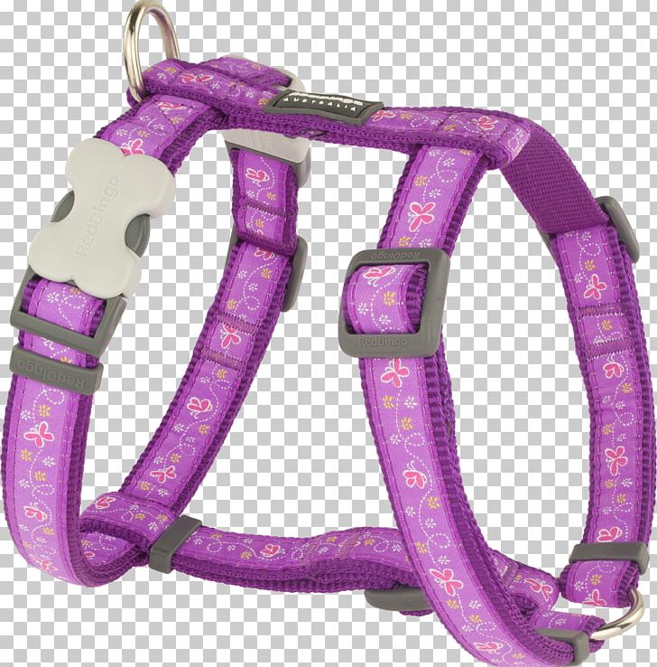 Dog Harness Dingo Puppy Dog Collar PNG, Clipart, Animals, Bleacute, Body Jewelry, Cat, Collar Free PNG Download