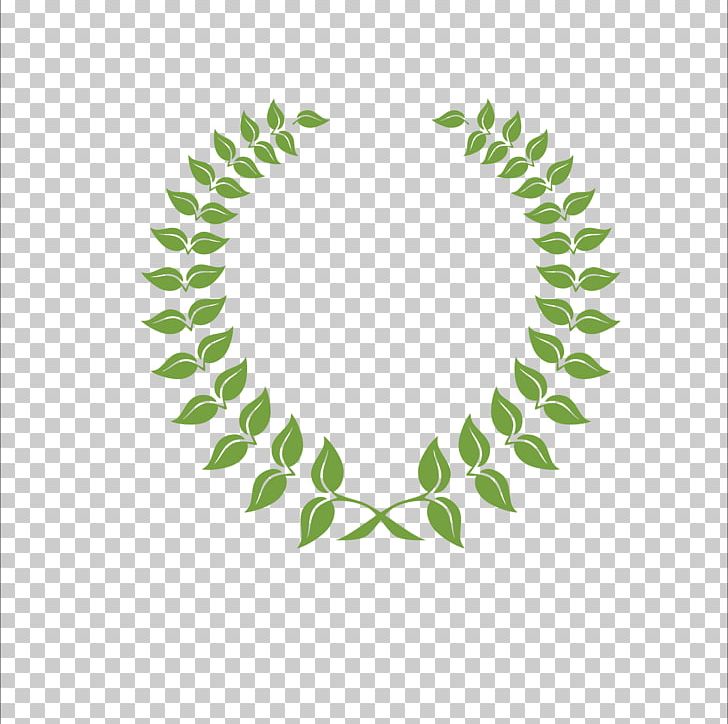 Olive Leaf Laurel Wreath PNG, Clipart, Branch, Branches, Business, Circle, Company Free PNG Download