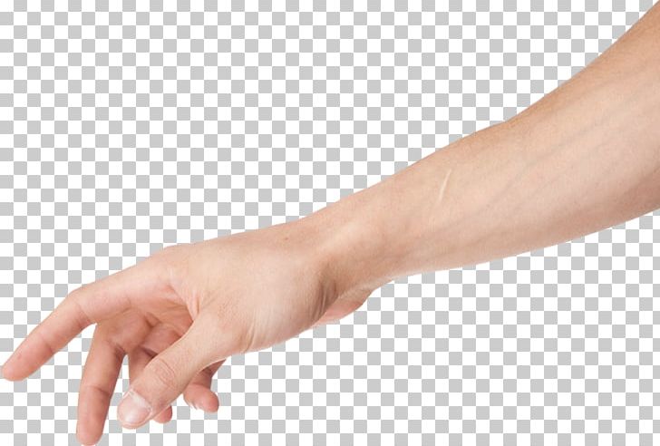 Arm PNG, Clipart, 2d Computer Graphics, Arm, Arm Clipart, Clip Art, Desktop Wallpaper Free PNG Download