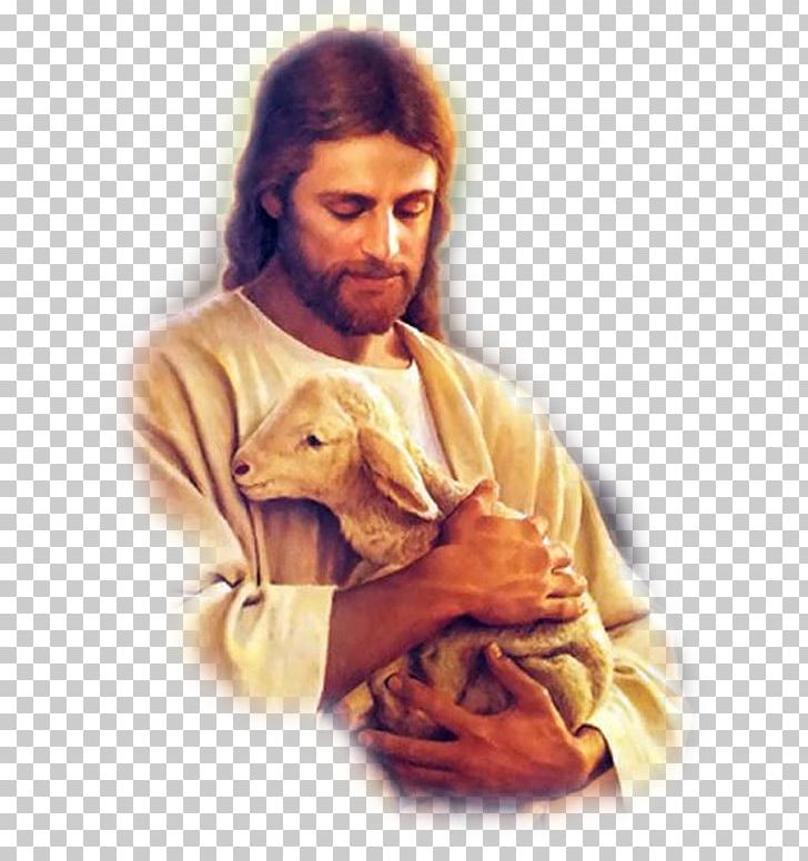 Jesus Bible Christianity Son Of God PNG, Clipart, Belief, Bible, Child, Christian, Christianity Free PNG Download