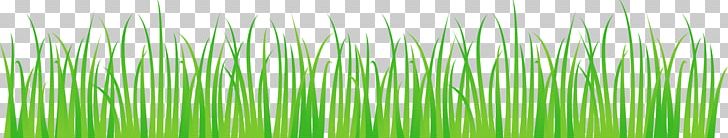 Wheatgrass Green PNG, Clipart, Background Green, Botany, Decorative, Decorative Pattern, Fresh Free PNG Download