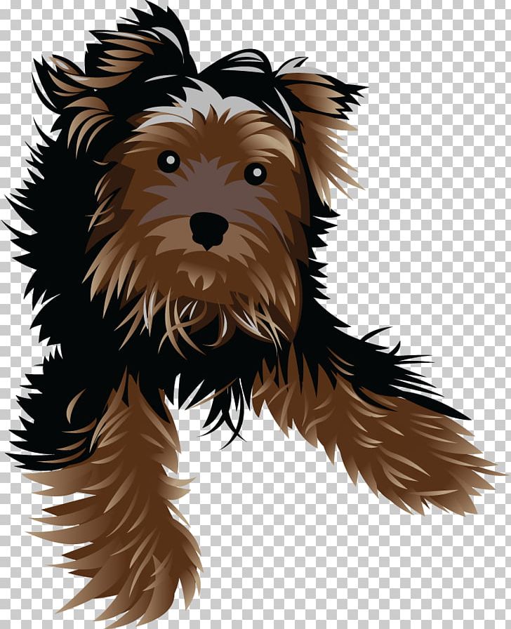 Yorkshire Terrier Cairn Terrier Puppy Companion Dog Dog Breed PNG, Clipart, Animals, Breed, Cairn Terrier, Carnivoran, Companion Dog Free PNG Download