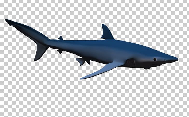 Hammerhead Shark PNG, Clipart, 3d Computer Graphics, Blue Shark, Bull Shark, Cartilaginous Fish, Fin Free PNG Download