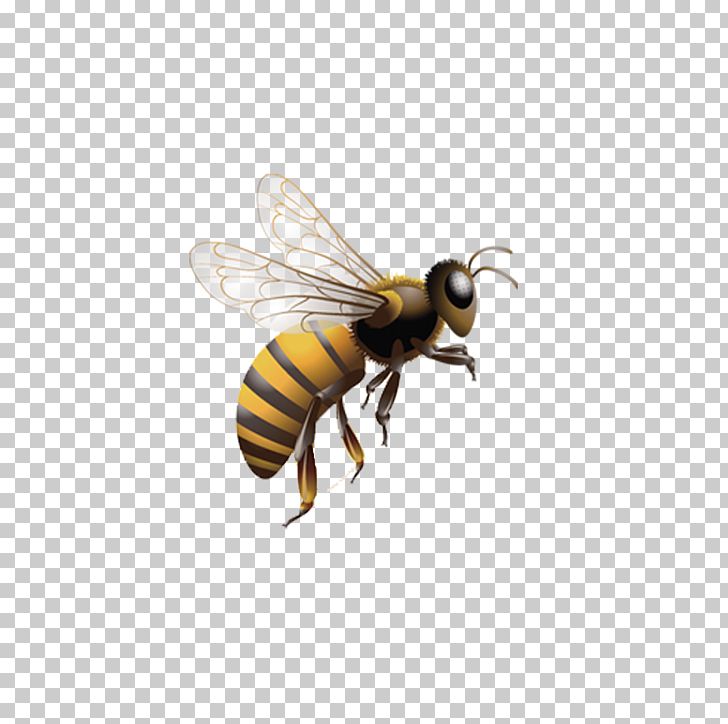 Honey Bee Insect Beehive PNG, Clipart, Animal, Arthropod, Bee, Beehive, Bee Hive Free PNG Download