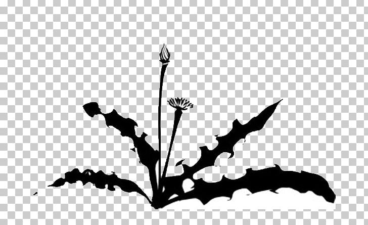 Weed Garden String Trimmer PNG, Clipart, Black, Black And White, Branch, Computer Wallpaper, Dandelion Free PNG Download