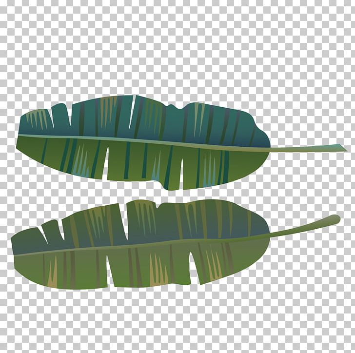 Green Banana Leaves PNG, Clipart, Banana, Banana Leaf, Botany, Cartoon,  Computer Graphics Free PNG Download