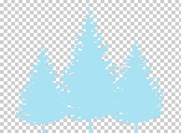 Pine Evergreen Tree Spruce PNG, Clipart, Blue, Blue Leaves, Branch, Cedar, Christmas Decoration Free PNG Download
