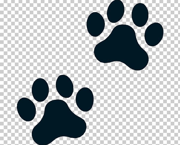 Polydactyl Cat Dog Puppy Kitten PNG, Clipart,  Free PNG Download