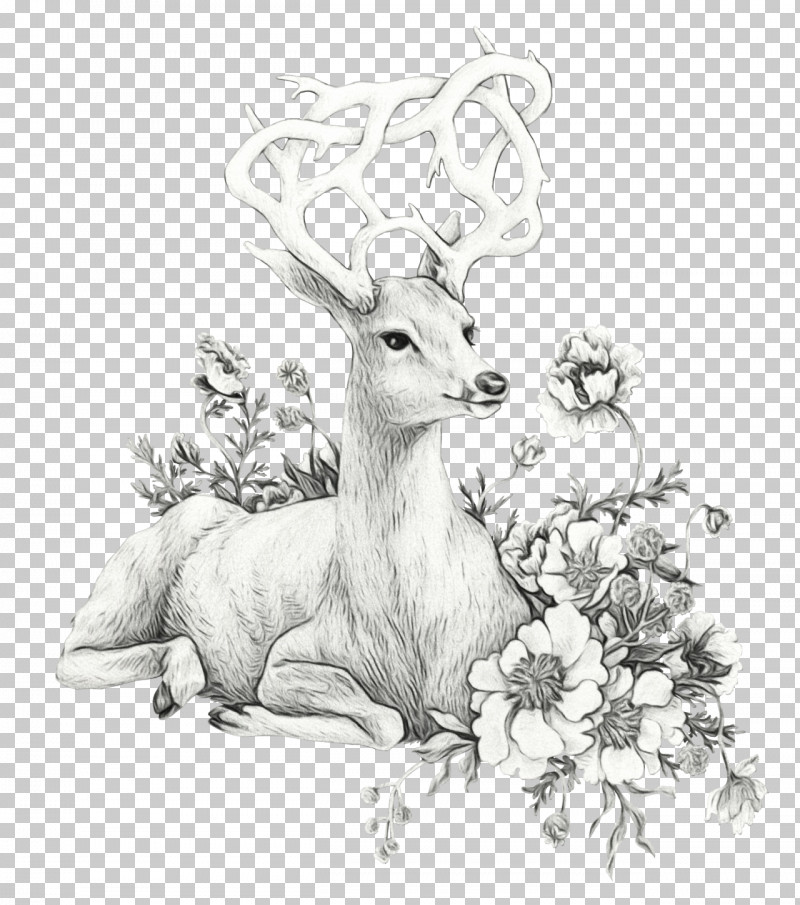 Deer Wildlife Drawing Roe Deer Line Art PNG, Clipart, Antelope, Coloring Book, Deer, Drawing, Horn Free PNG Download