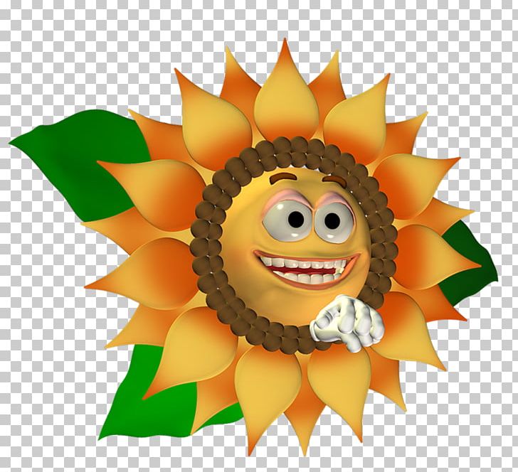 Sunflower M Fruit .net PNG, Clipart,  Free PNG Download